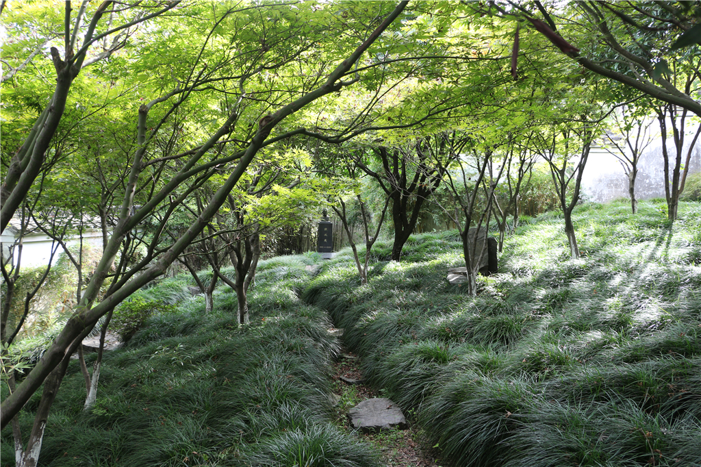 品农家菜肴田园生活,嘉兴南北湖农家乐推荐