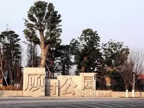 上海地铁直达的好玩的地方,上海坐地铁就能去的景点