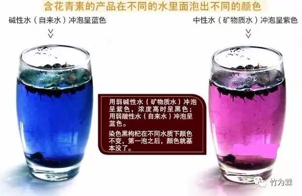 黑枸杞原浆功效与作用,野生黑枸杞子的作用与功效