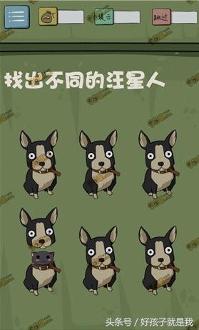 最囧游戏5小游戏,最囧游戏5