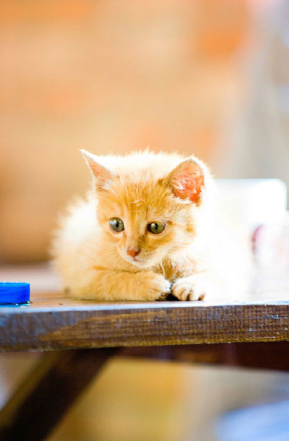 摄影小景深效果图,摄影景深知识大全