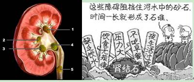 男人过了30岁感觉身体哪哪都是病,男人30岁什么病都出现了