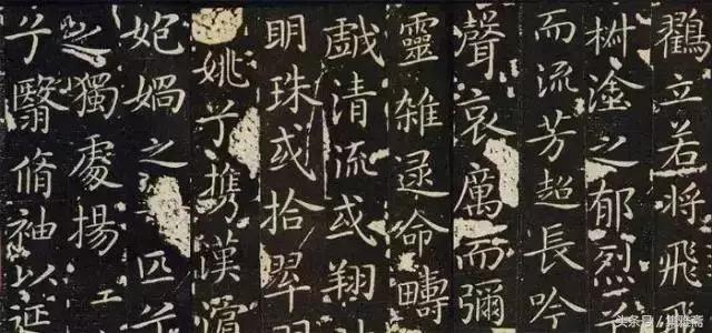 一篇文章读懂茶叶,一篇文章读懂达芬奇