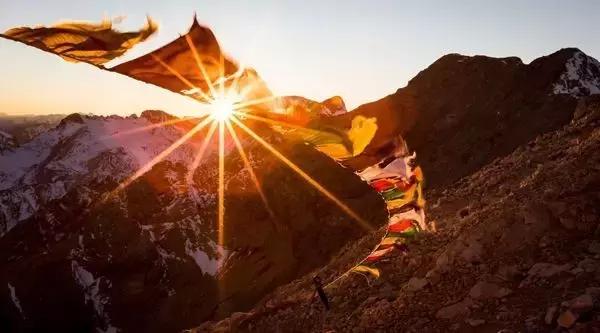 利他是不是最高境界,利他是人最重要的灵魂