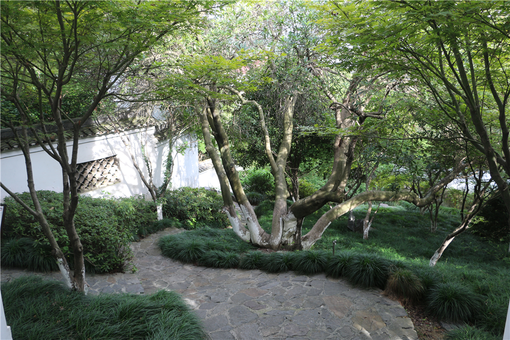 品农家菜,品农家美食