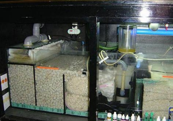 <html>
<head><title>502BadGateway</title></head>
<body>
<center><h1>502BadGateway</h1></center>
<hr><center>nginx</center>
</body>
</html>
<!--apaddingtodisableMSIEandChromefriendlyerrorpage-->
<!--apaddingtodisableMSIEandChromefriendlyerrorpage-->
<!--apaddingtodisableMSIEandChromefriendlyerrorpage-->
<!--apaddingtodisableMSIEandChromefriendlyerrorpage-->
<!--apaddingtodisableMSIEandChromefriendlyerrorpage-->
<!--apaddingtodisableMSIEandChromefriendlyerrorpage-->
