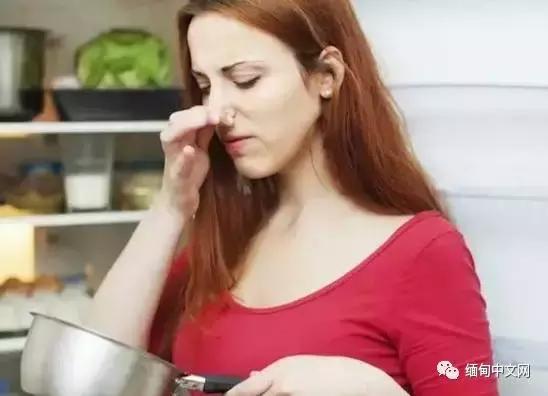 洋葱近几年的价格,洋葱的价格会涨价吗