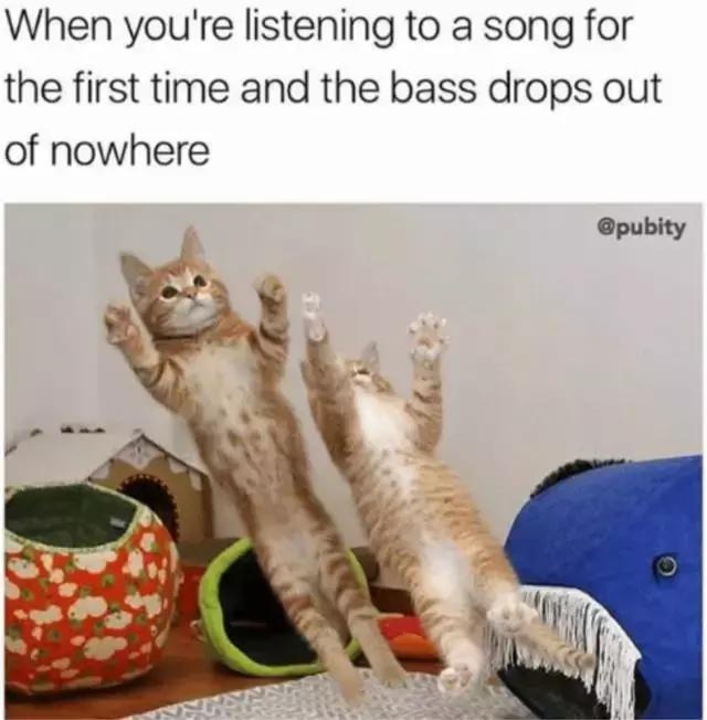 最火最震撼的车载超级低音炮,世界顶级车载重低音炮威力