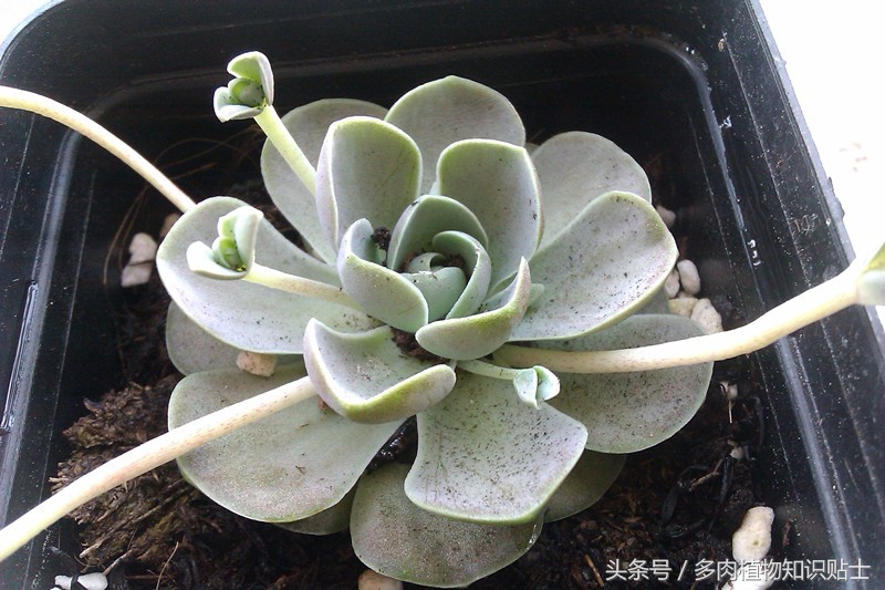 数不尽的岁月,数不尽的岁月的沉淀