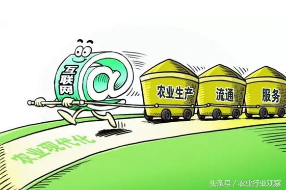 鍐滆祫浼佷笟鐢靛晢鏈潵鍙戝睍寤鸿,涓嬩竴涓簲骞磋鍒掑摢浜涙槸椋庡彛琛屼笟