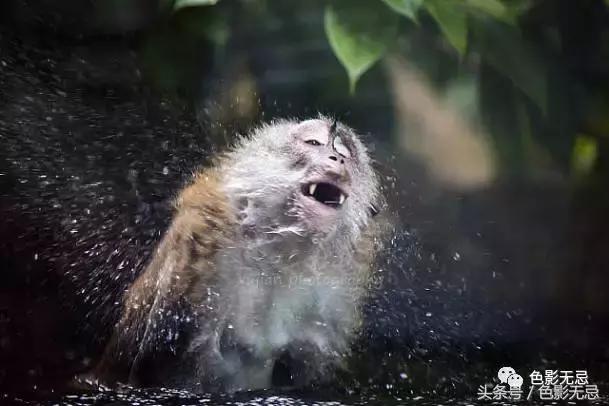 佳能l级镜头,佳能l级红圈系列