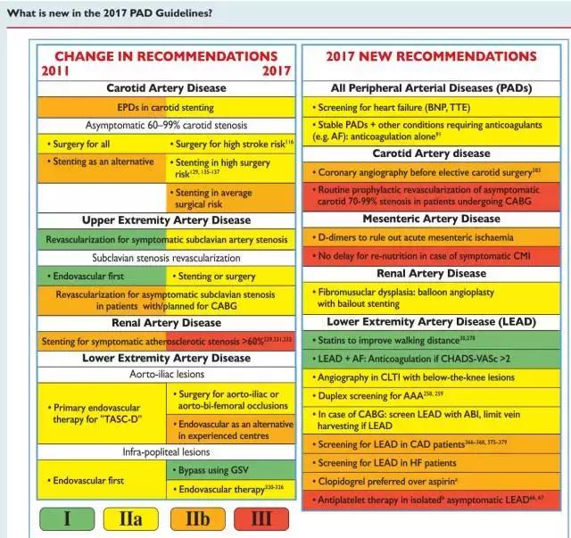 论治的主要依据,制定全面个体化的治疗方案
