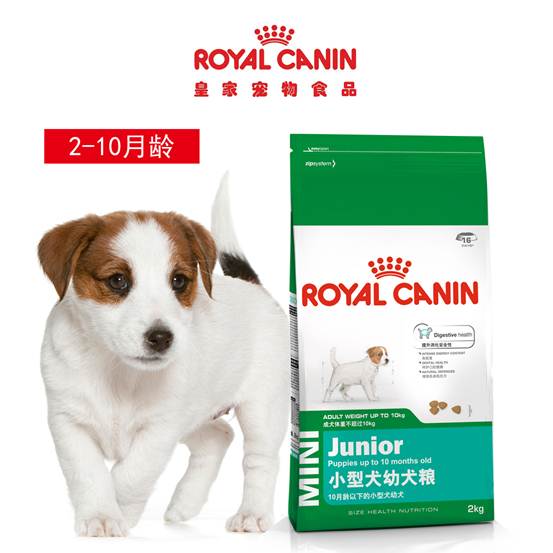 盘点宠物市场上常见的狗粮品牌，买狗粮的时候不再盲目