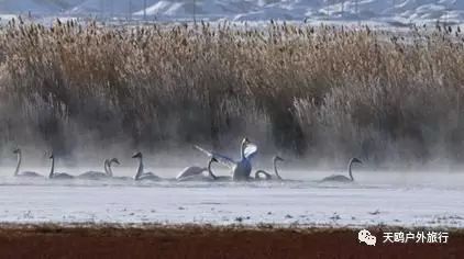 一大一小两个情侣湖，国庆来西域敦煌必经之路，一起秀恩爱吧！