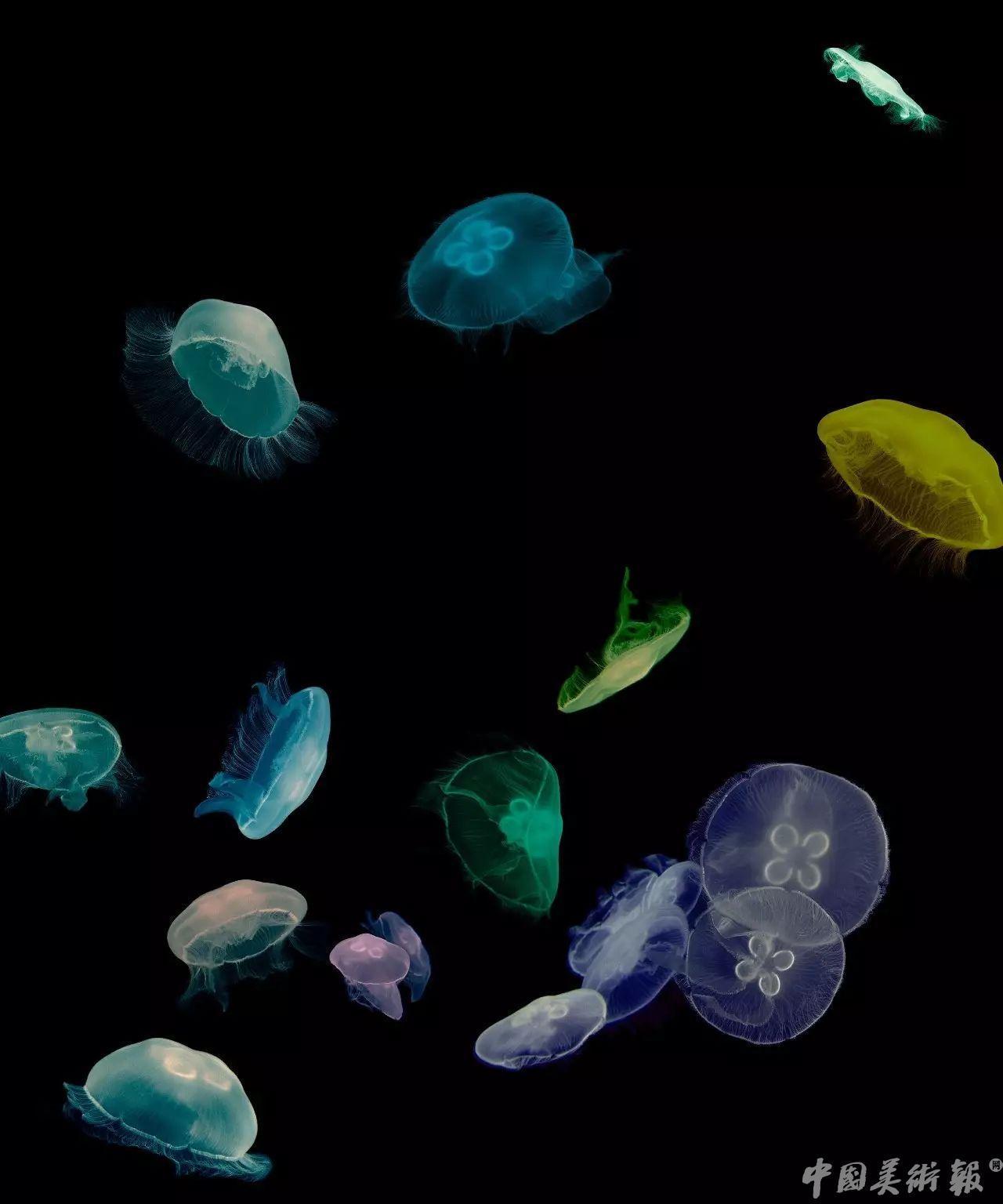 影像留住时间,影像收藏格局