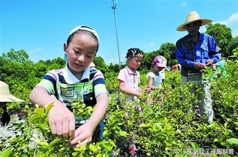 特色小镇怎么打造景区,古韵休闲小镇