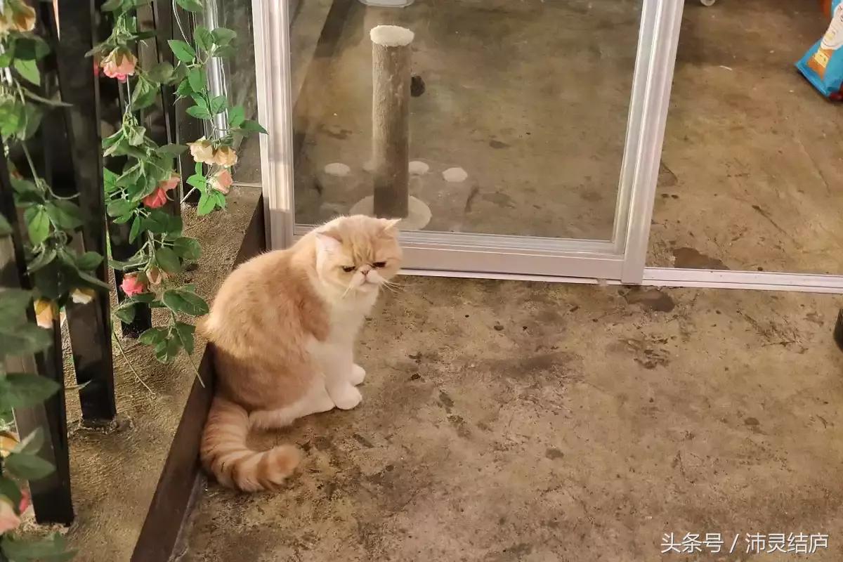 如果你只有一天的时间去乐山,如果你只有两天时间游南京