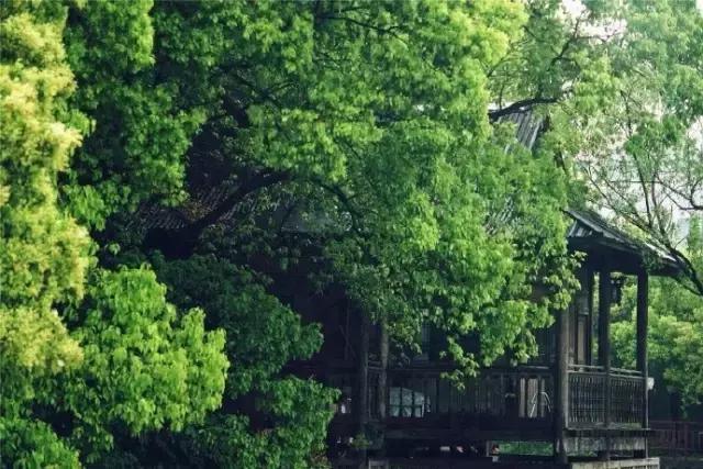 等一个风和日丽的日子,诗酒花茶的句子