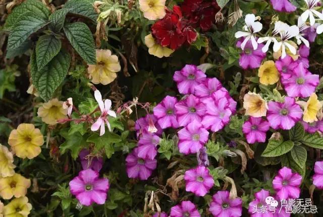 关于尼康d850的一些问答,尼康d850买回来怎么打开