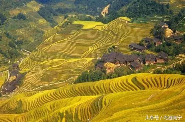 广西深秋好看的地方,广西的秋天哪里风景最美