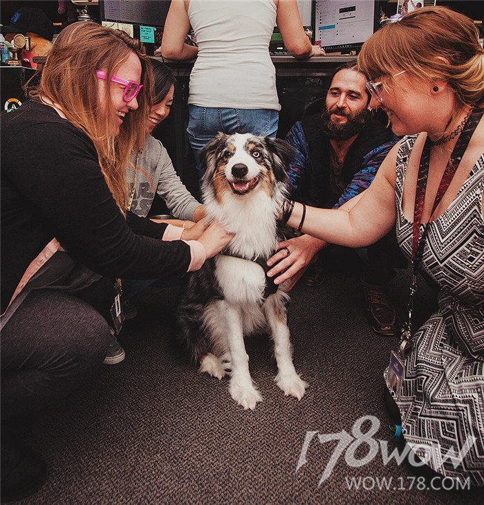 暴雪员工的宠物也太幸福了，还有专属部落or联盟工牌