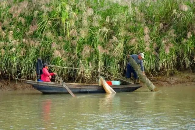 镇江有轨电车,镇江有名的塔叫什么塔