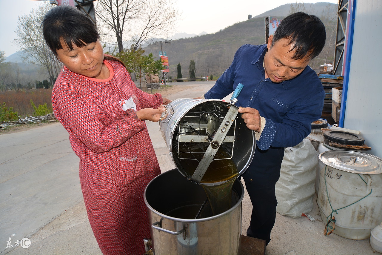 养蜜蜂专用术语,蜜蜂养殖技术维语版