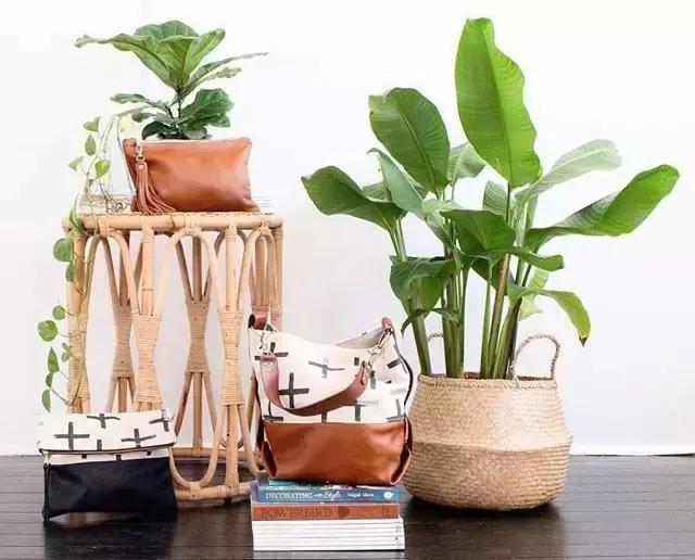 去澳洲必买清单,去澳洲购物攻略