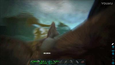 这可能是世界上最野的抓猛兽指南了，动物园的驯兽师看完全跪了！