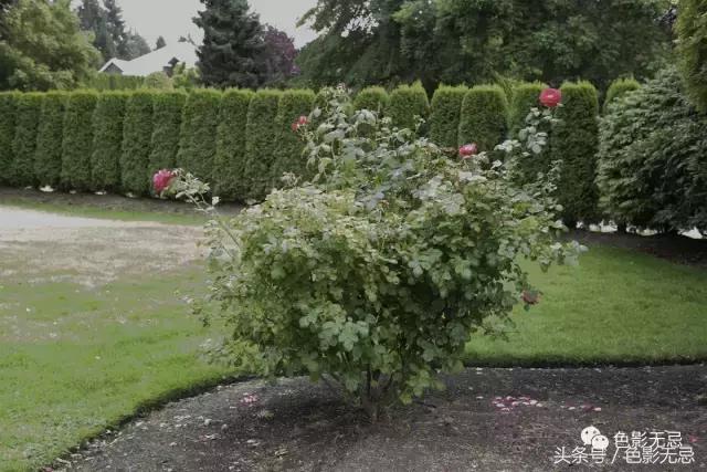 关于尼康d850的一些问答,尼康d850买回来怎么打开