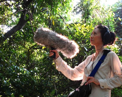 整轨无损和分轨无损哪个音质好,无损母带高品质hifi无损音质