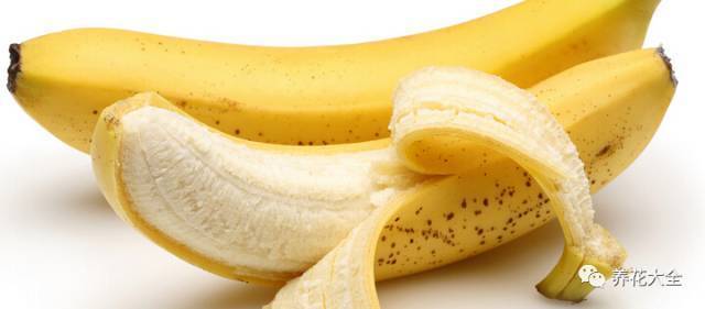 果皮肥料种花时放多少 (什么肥能促进盆栽开花结果)