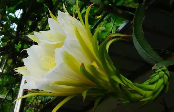 镇江有轨电车,镇江有名的塔叫什么塔