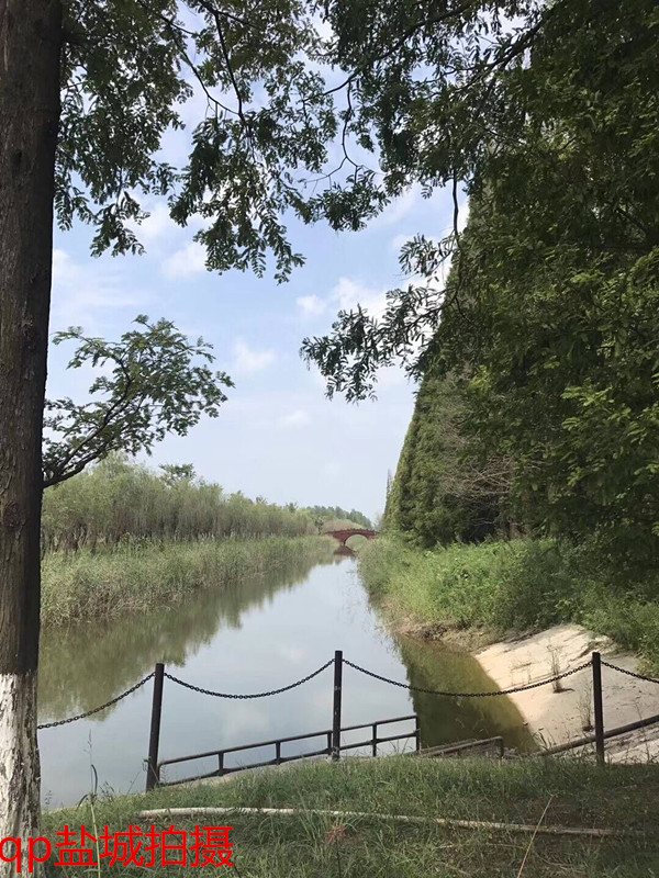 800元的iphone6s,iphone7p和iphone8哪款更值得入手