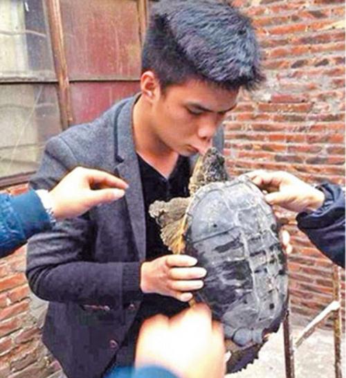 什么龟比较凶猛并且背甲好看,什么龟凶猛好看