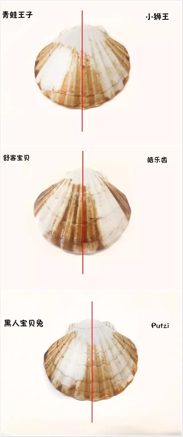 舒客和狮王牙膏哪个好,儿童牙膏狮王测评