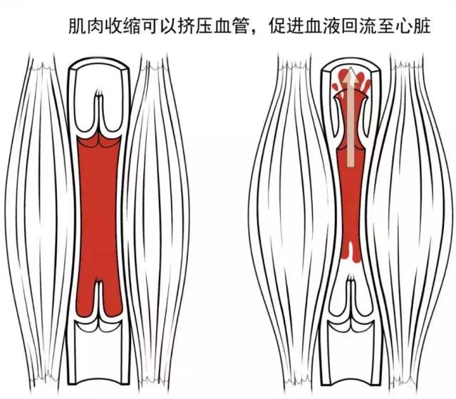 马拉松赛后恢复图解,马拉松赛后怎么复活