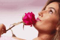 因为种玫瑰花,“她”从澳洲火到了全球!