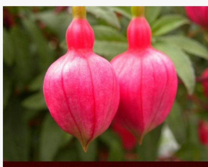 婚礼现场娘家人没有一个人去,结婚当天娘家要留一个人在家吗