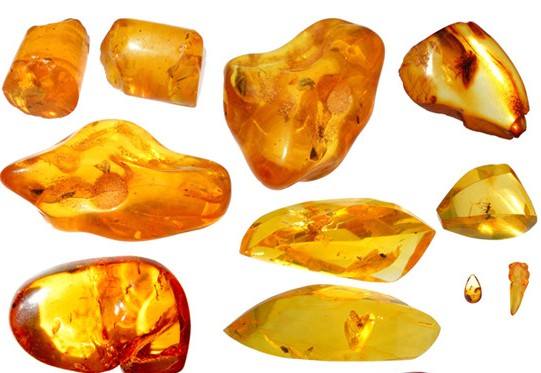 鉴别琥珀的方法和灯怎么用,如何辨别琥珀的真假最简单的方法
