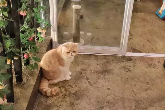 武夷山最值得住的酒店,武夷山哪个民宿舒服