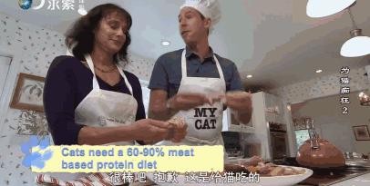 吸猫电影完整版免费,吸猫满足哪些需要