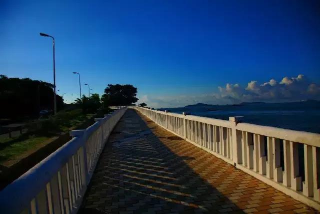 去厦门旅游最全的旅行攻略,十一去厦门旅游攻略自由行