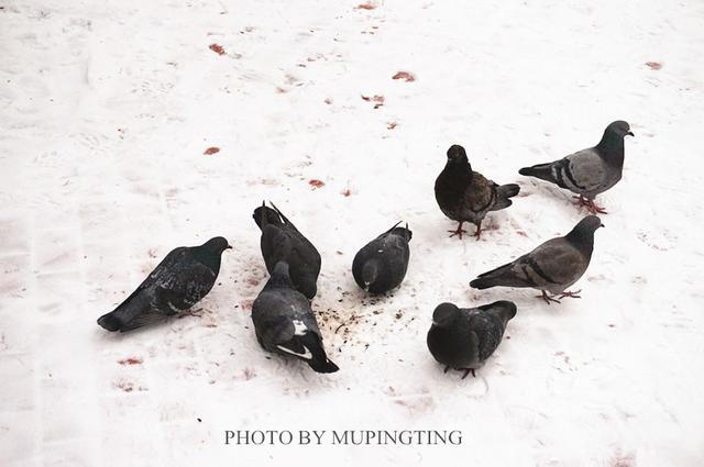 俄罗斯人的彪悍行为,俄罗斯人的性格有多彪悍