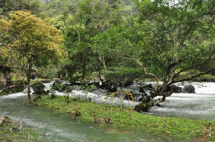 中国最美的十大森林,中国最美十大森林公园