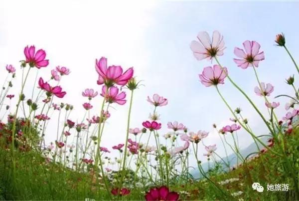 在重庆国庆中秋哪里耍,国庆来重庆一定要做的20件小事