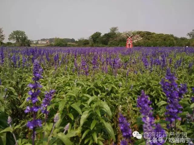 南宁十大最美农家乐推荐,南宁周边烧烤野炊前十排行
