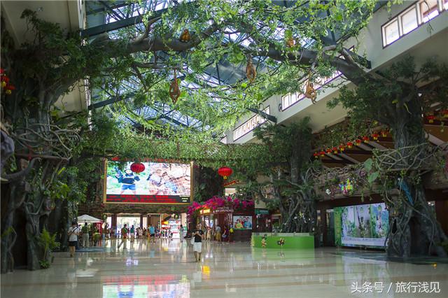 陪伴才是对孩子最好的祝福,陪伴才是给孩子最好的教育