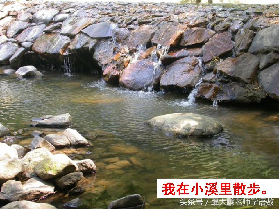 部编版二年级语文下册第一课课文,部编版二年级语文上册第二课视频