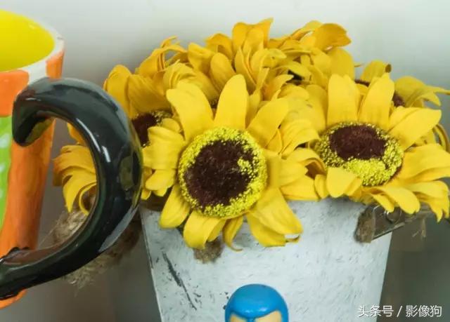 尼康z30腾龙适马70-200哪个好,腾龙适马2870镜头测评